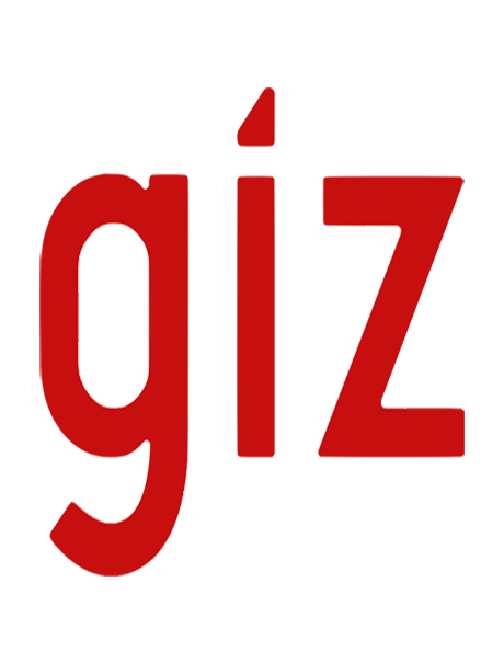 giz logo